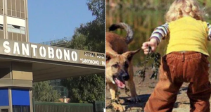 Bimbo azzannato da un cane grave al Santobono
