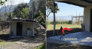 Fermato il fratello di Domenico Martone