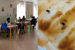 Insetti nella mensa ad Afragola