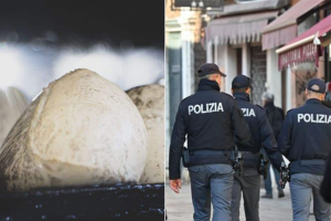 Provole avvelenate a Cardito