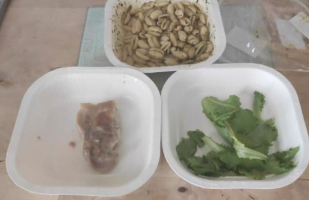 mensa scolastica napoli