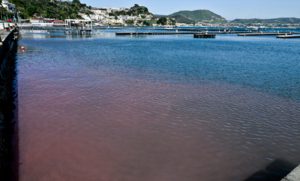 mare bacoli rosso