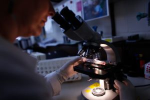 In Campania il progetto unitario per la lotta al cancro