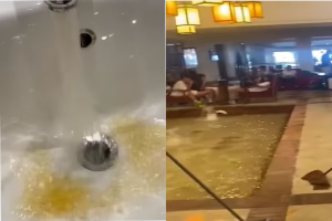 Vacanza da incubo a Sharm