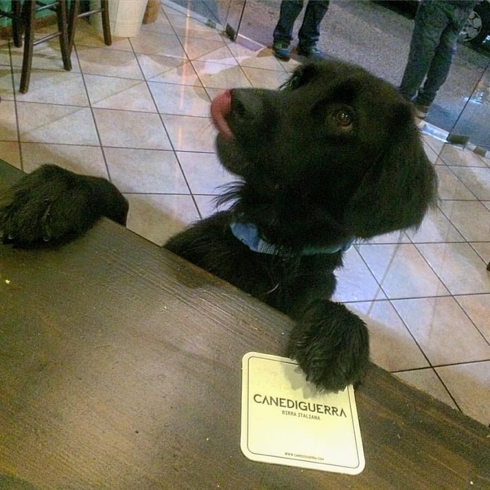 locali per animali al vomero