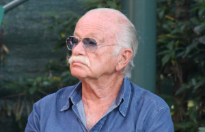 Gino Paoli annulla il concerto per motivi di salute