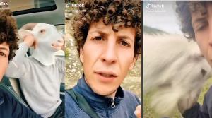 manuè saverio riccelli