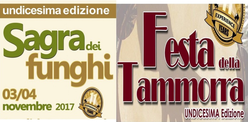 sagra funghi 2017