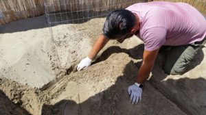 Nuovo nido di tartaruga marina scoperto in Campania