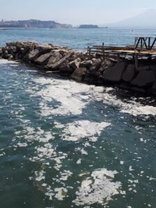 ritrovamento mare sveva