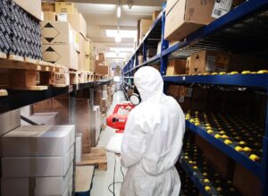 coronavirus santificazione