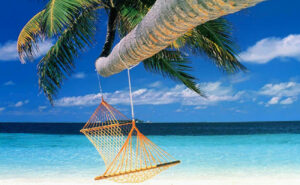 Ferragosto, ecco i consigli per un menu gustoso e genuino