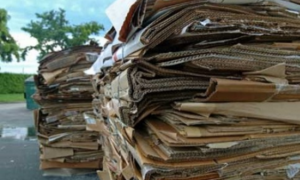 Raccolta differenziata: cresce il Sud Italia