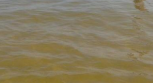 Salerno: bagnanti in protesta per il mare marrone