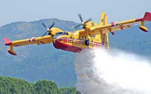 Ischia: un incendio devasta la zona del Monte Trippodi