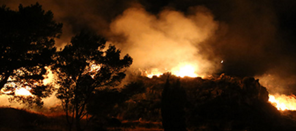 Terribile incendio a Bacoli, a fuoco Parco Cerillo