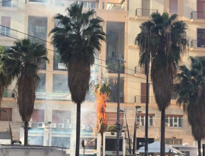 Napoli, albero in fiamme a via Roma: panico tra la folla