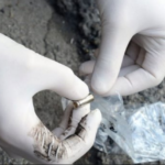 Napoli, stesa a San Giovanni: colpi d'arma da fuoco in strada