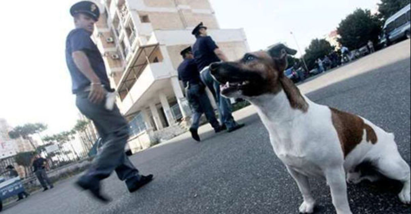 Napoli, la camorra vuole la morte di "Pocho": una taglia sul cane anti-droga