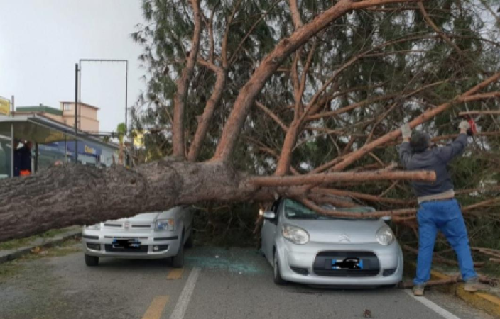 Maltempo a Napoli, dopo il disastro ecco come i cittadini possono chiedere un risarcimento