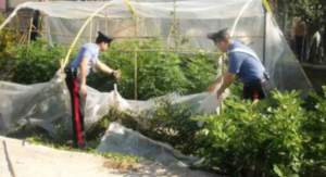 Fiori e camorra, blitz contro il clan Cesarano: sette arresti