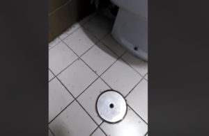 Formiche nei bagni del CTO, il video della vergogna è virale sui social