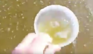 Litorale Domizio, il mare è giallastro: scatta il pericolo ambientale