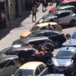 Pitbull ucciso da un poliziotto, il 118: "Ci ha aggrediti e voleva morderci"