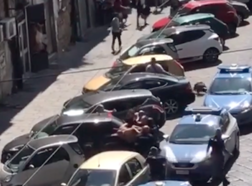 Pitbull ucciso da un poliziotto, il 118: "Ci ha aggrediti e voleva morderci"