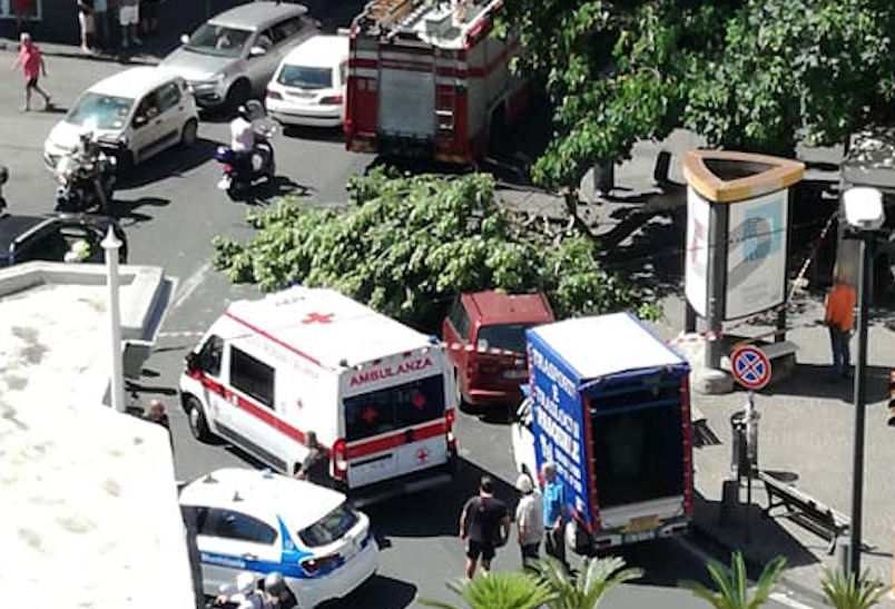 Paura in piazza Mazzini, crolla albero: tragedia sfiorata