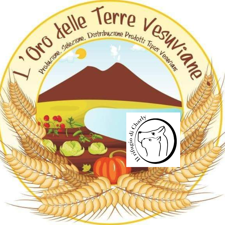 'Il rifugio di Charly' e 'L'oro delle terre vesuviane' insieme per un Natale solidale