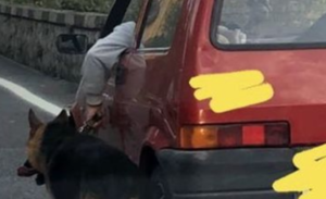 Porta il cane al guinzaglio mentre è alla guida, la denuncia è virale sui social