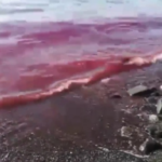 San Giovanni, mare rosso e dall'odore nauseabondo: il video fa il giro del web