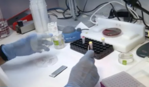 Coronavirus in Campania, altri 14 tamponi positivi: il comunicato della Protezione civile