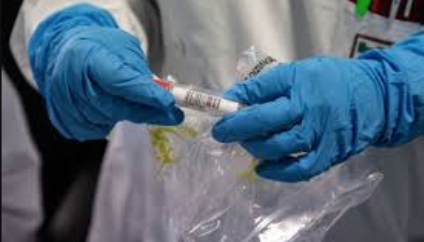 Coronavirus, a Torre del Greco i casi positivi sono saliti a 15