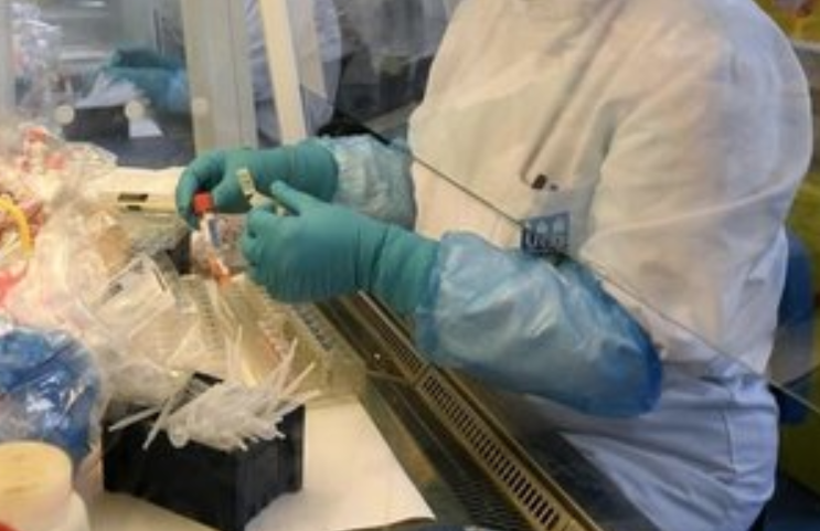 Coronavirus in Campania, oggi positivi 57 tamponi: in totale 698 persone contagiate