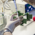 coronavirus campania bollettino vocedinapoli.it