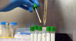 regione campania bollettino coronavirus covid19