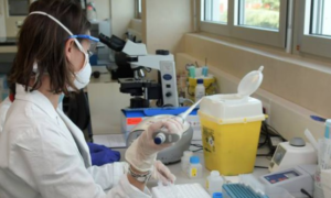 bollettino regione campania coronavirus covid19