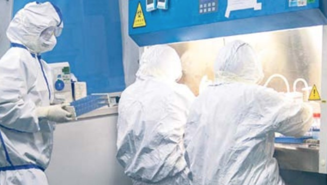 covid campania bollettino de luca