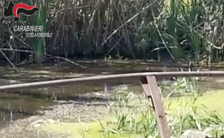 Pozzuoli, scarico di liquami in mare: sequestrata azienda