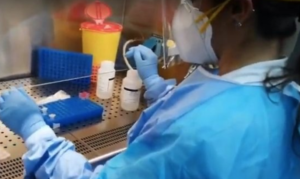 bollettino regione campania coronavirus