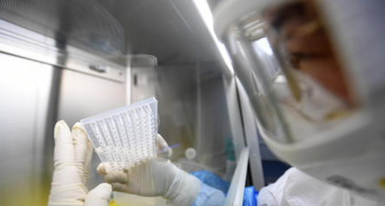 Covid19 in Campania, il bollettino: sono pochi i tamponi positivi analizzati oggi