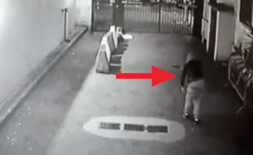 Furti nelle scuole per comprare e vendere droga, sgominata baby gang dello spaccio