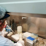 Covid in Campania, il bollettino