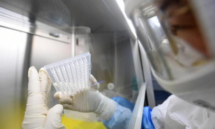 Covid19 in Campania: oggi un tampone positivo, una persona deceduta e quattro guarite