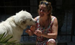 Annamaria sfama e cura i randagi, il Sindaco la denuncia: polemica in Campania