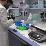 Covid, ecco il vaccino italiano. Via alle sperimentazioni: l'annuncio