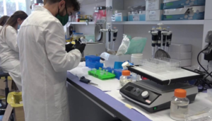 Covid, ecco il vaccino italiano. Via alle sperimentazioni: l'annuncio