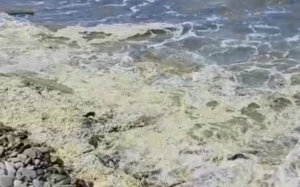 Le industrie conserviere colpiscono ancora